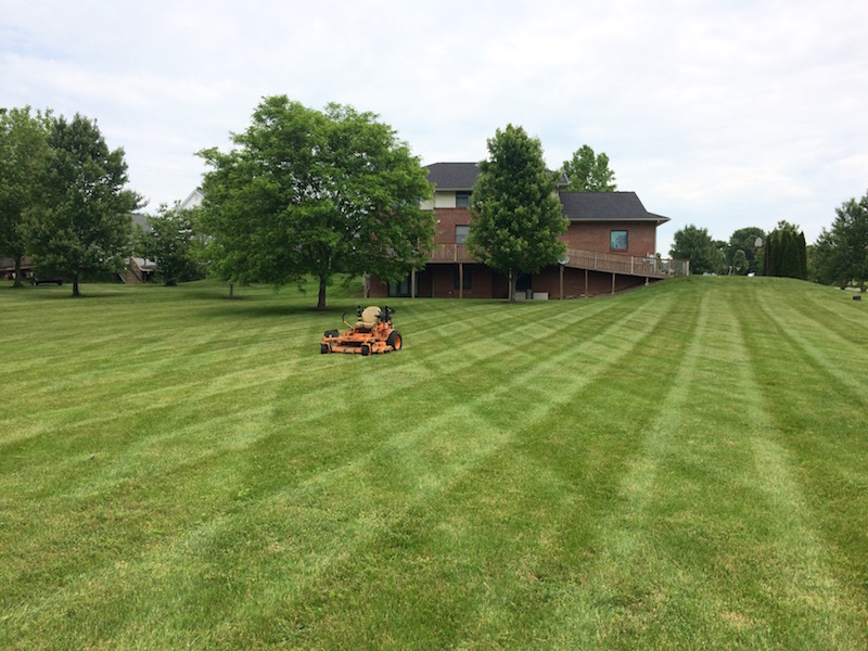 Lawn Mowing Services In Georgetown, Lexington, Frankfort & Surrounding 